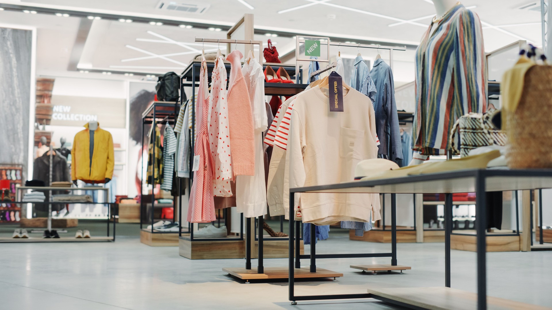 Shopping Clothing Store Interior. Modern Fashionable Shop, Clothes for Every Taste. Stylish Brand Design, Fashionable Colors, Quality Sustainable Materials. No People.